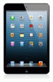 Apple iPad Mini Wi-Fi / A1432 image